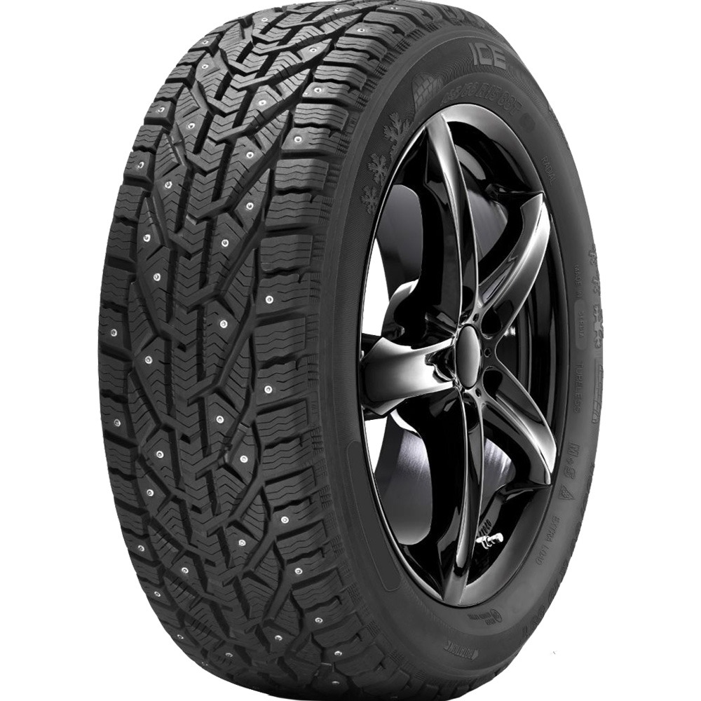 Tigar Ice 91T — 195/55 R16
